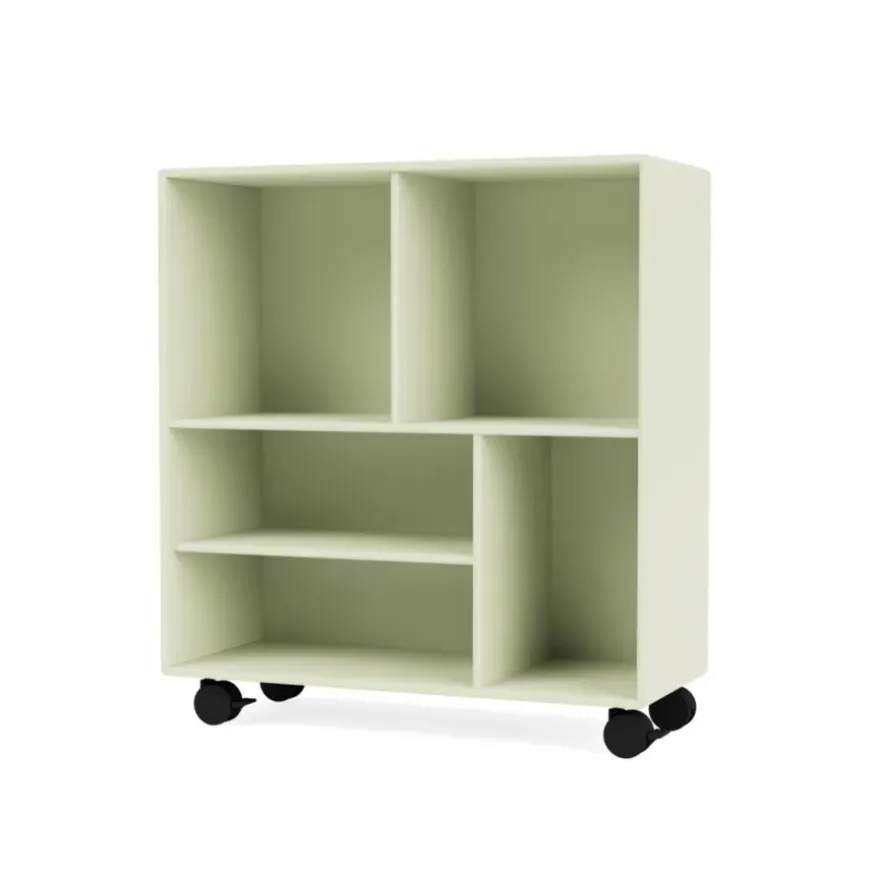 1619 reol, inkl. ben fra Montana