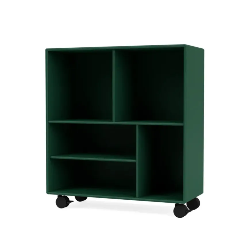 1619 reol, inkl. ben fra Montana