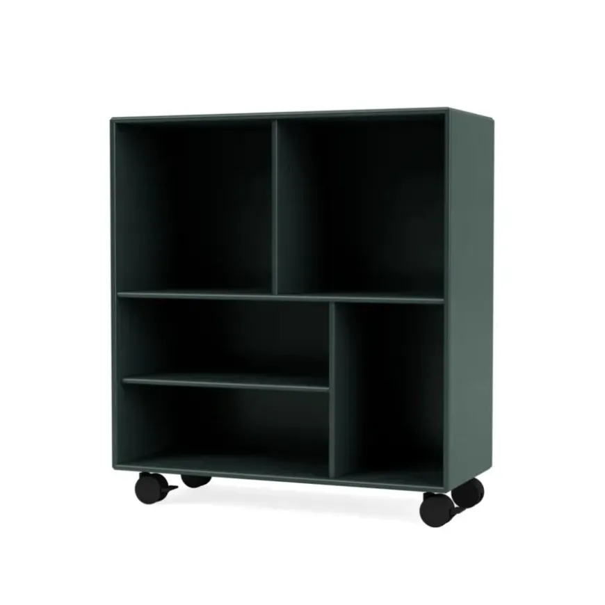 1619 reol, inkl. ben fra Montana