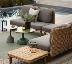 Arch Ryghynde fra Cane-line