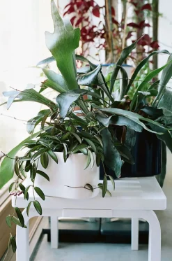 Bench 153 A fra Artek