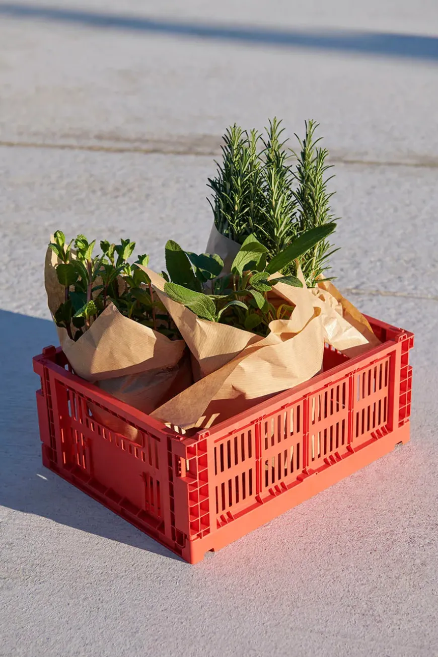 Colour Crate Medium, Dark green fra Hay