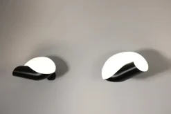 Conche Small Wall Lamp af Serge Mouille