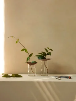 Cresco Propagation Vases, sæt á 2 stk. fra Audo Copenhagen