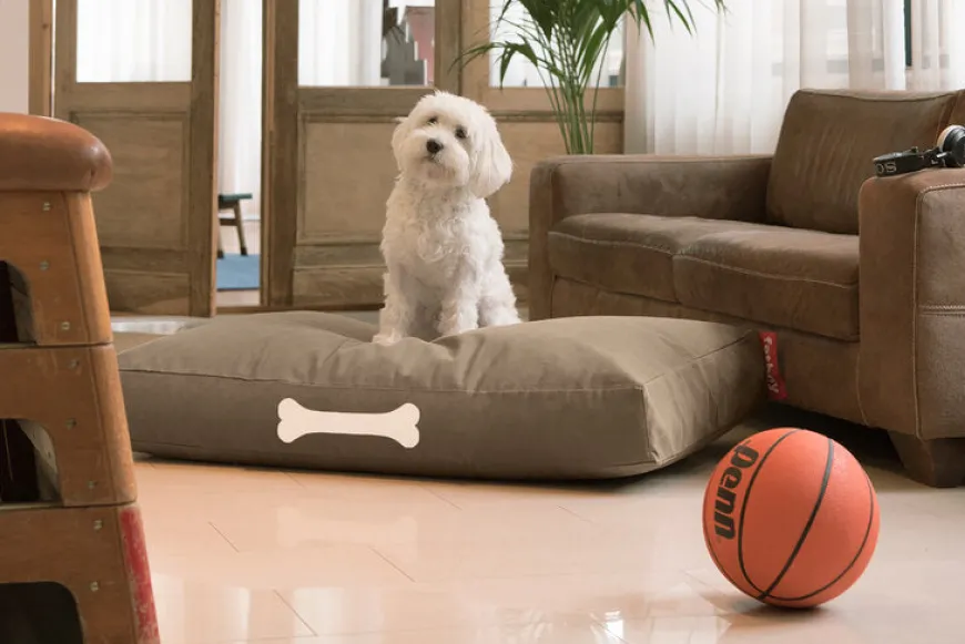 Doggielounge S Canvas Recycled – Hundekurv fra Fatboy