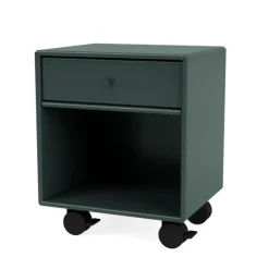 Dream, multi fra Montana