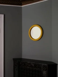 Duplum Spejl, chameleon fra raawii