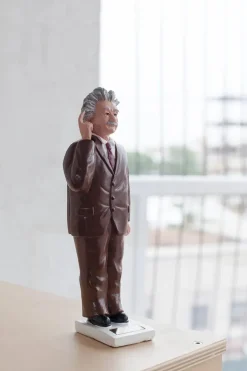 Kikkerland Solar Einstein