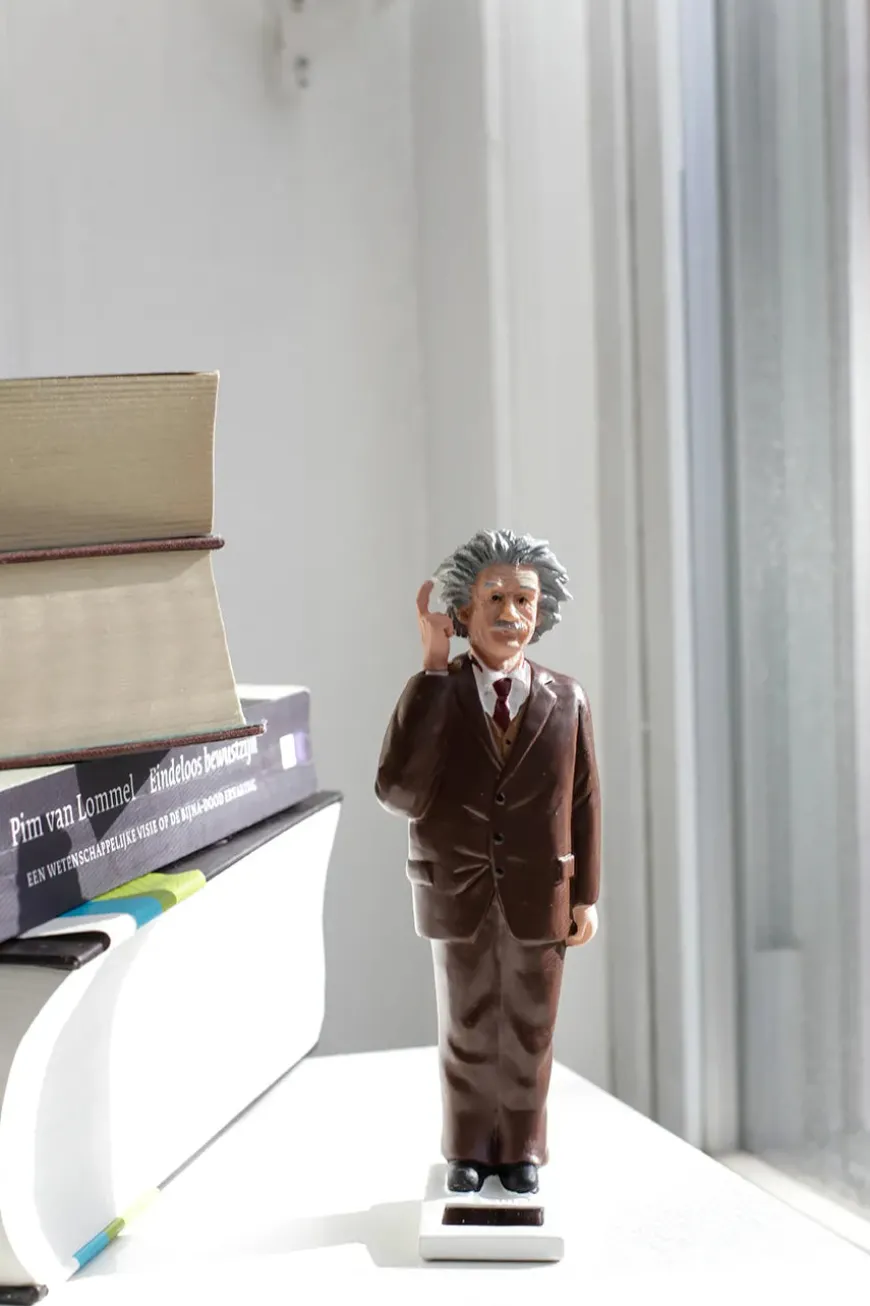 Kikkerland Solar Einstein