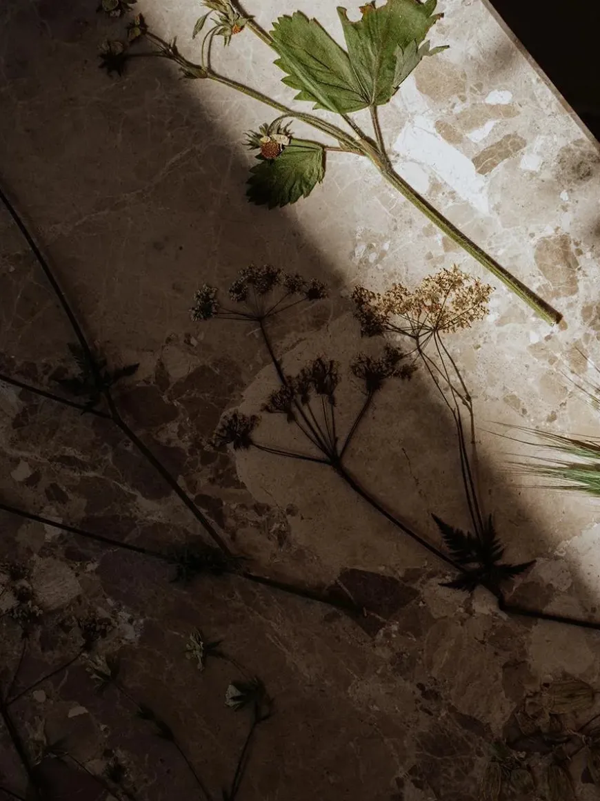 Konkylie Sofabord fra Wabi Sabi Nordic