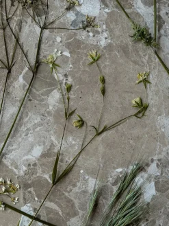 Konkylie Sofabord fra Wabi Sabi Nordic