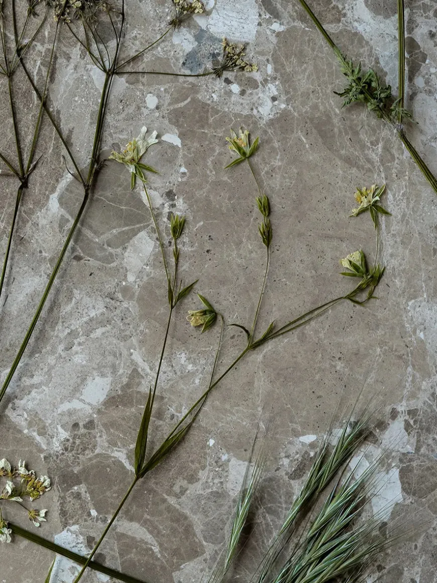 Konkylie Sofabord fra Wabi Sabi Nordic