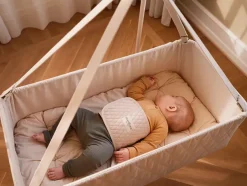 Madras Fixi, vugge fra Moonboon