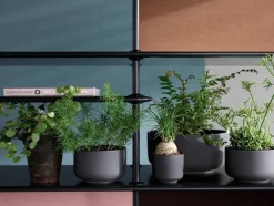 Montana Free Reol 333000