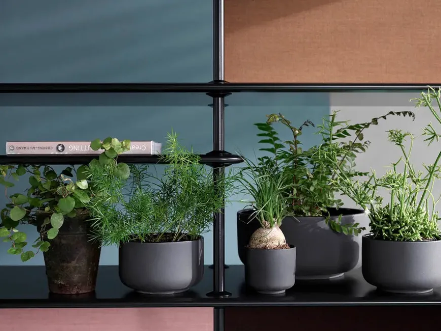 Montana Free Reol 333000, chrome