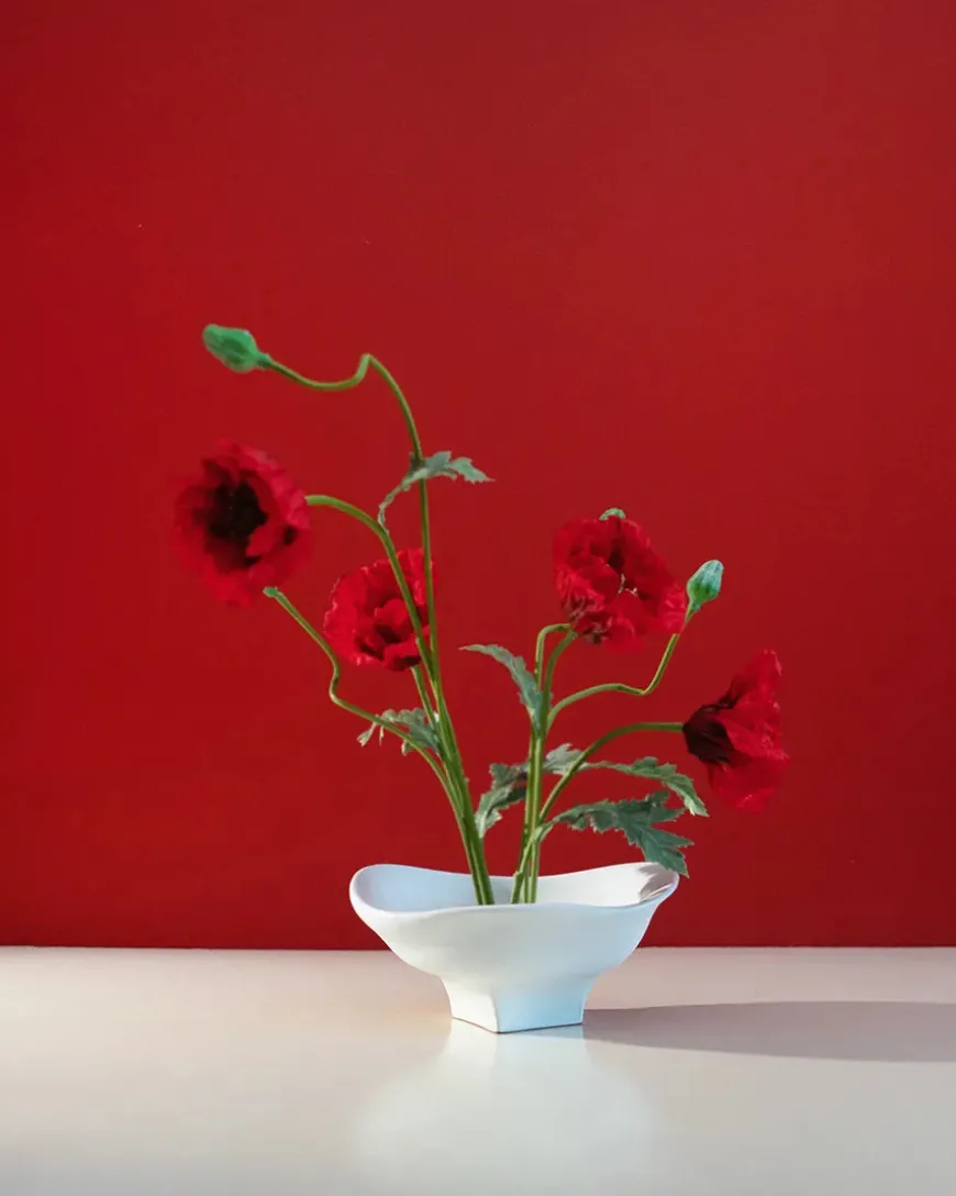 Nami Bowl Large fra Hein Studio