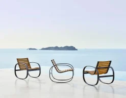 Parc Gyngestol fra Cane-line