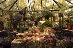 PH 3/2 Pale Rose Bordlampe fra Louis Poulsen