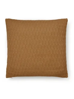 Raul Pude, Albicant fra Aiayu