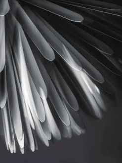 Sun - Light of Love Pendel fra Foscarini