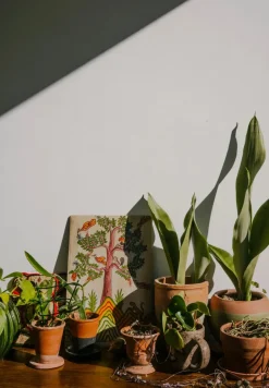 The Kinfolk Garden fra New Mags