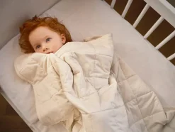 Tyngdedyne fra Moonboon