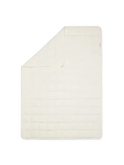 Tyngdedyne fra Moonboon